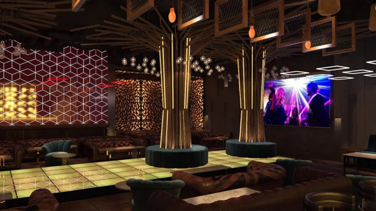 Chandni Chok Basera Dancing Bar 10