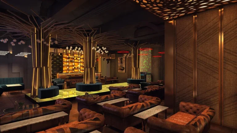 Chandni Chok Basera Dancing Bar 11