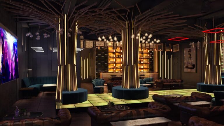 Chandni Chok Basera Dancing Bar 12