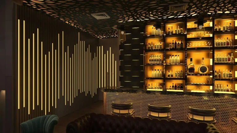 Chandni Chok Basera Dancing Bar 9